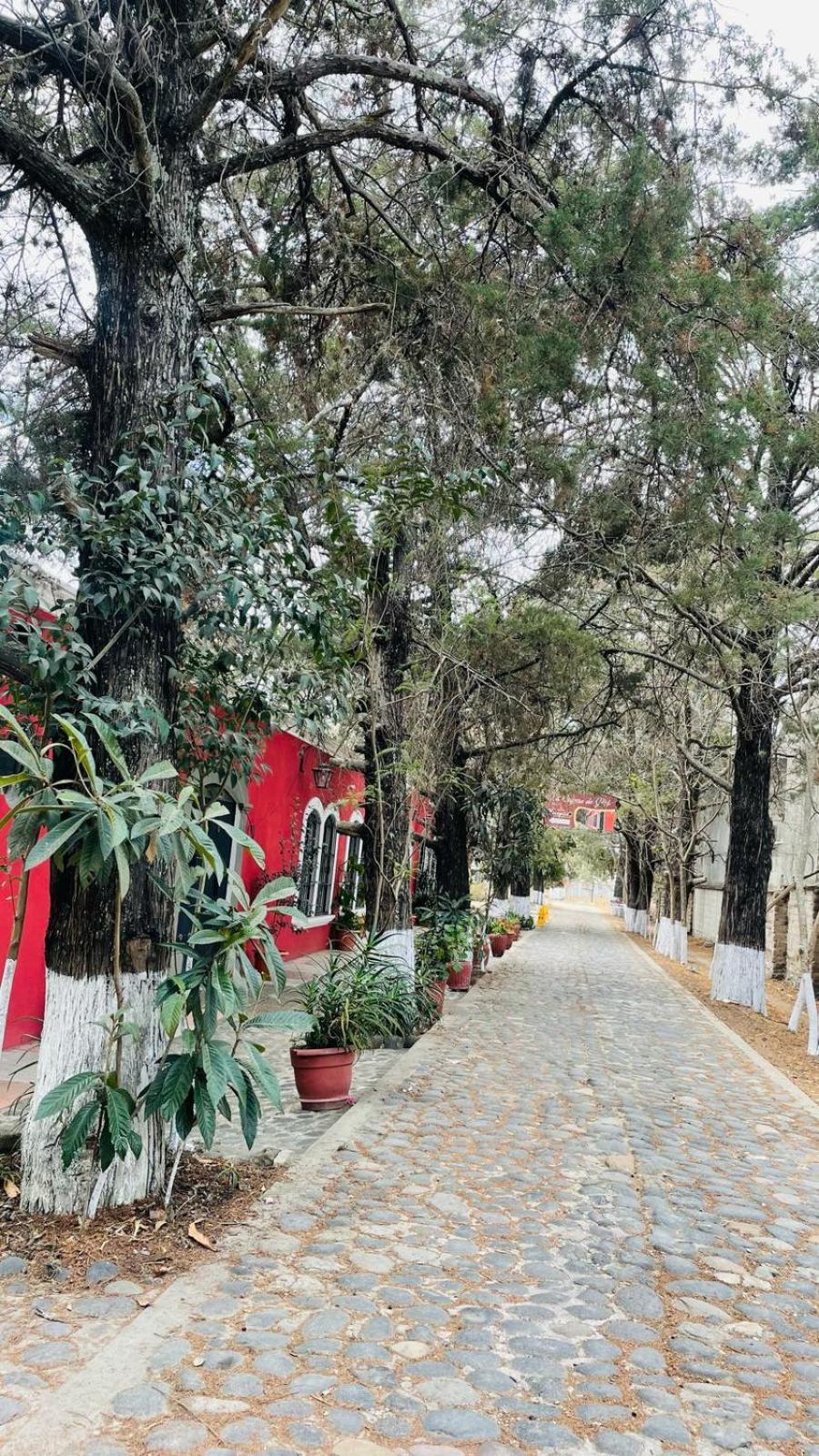 La Chacra De Joel Hotel Huehuetenango Buitenkant foto